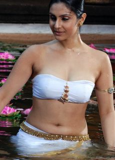 Divya Parameshwaran Hot Sexy Navel Show In Saree Stills From Ponnar Sankar Movie