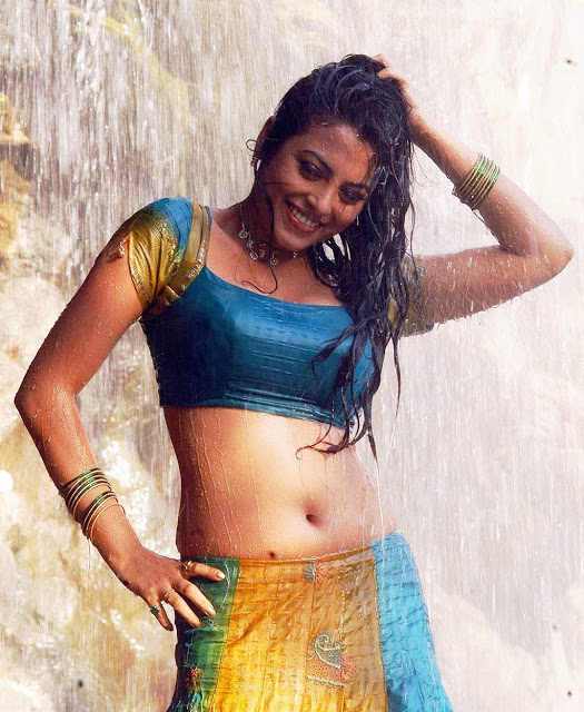 Actress Meenakshi Sexy Navel Cleavage Show In Half Saree Stills From Rajadhi Raja Movie 
