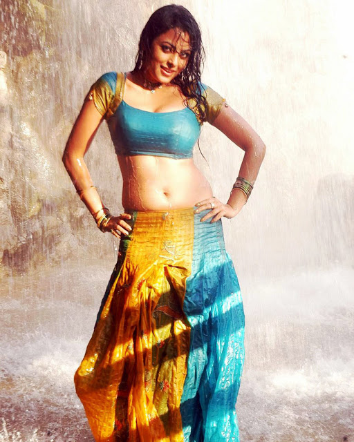 Actress Meenakshi Sexy Navel Cleavage Show In Half Saree Stills From Rajadhi Raja Movie 21