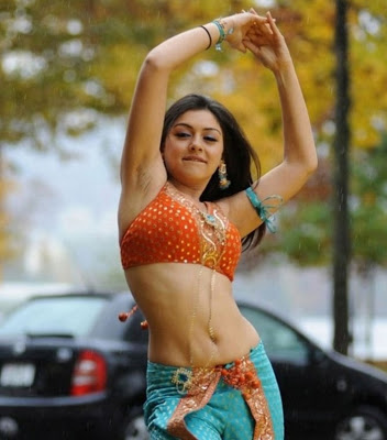 Hansika Motwani Hot Sexy Navel Cleavage Photos Collection 3 Aaaaeds