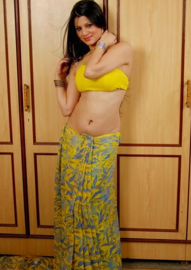 Kainaat Arora Sexy Navel And Cleavage Show In Saree Photoshoot Stills 2H