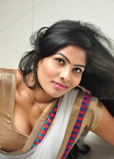 Actress Bhanu Sexy Navel and Cleavage Show In Saree Photoshoot Stills