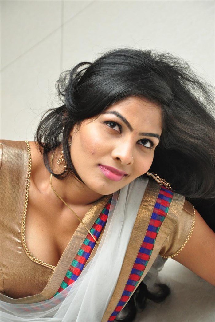 Actress Bhanu Sexy Navel And Cleavage Show In Saree Photoshoot Stills 0H