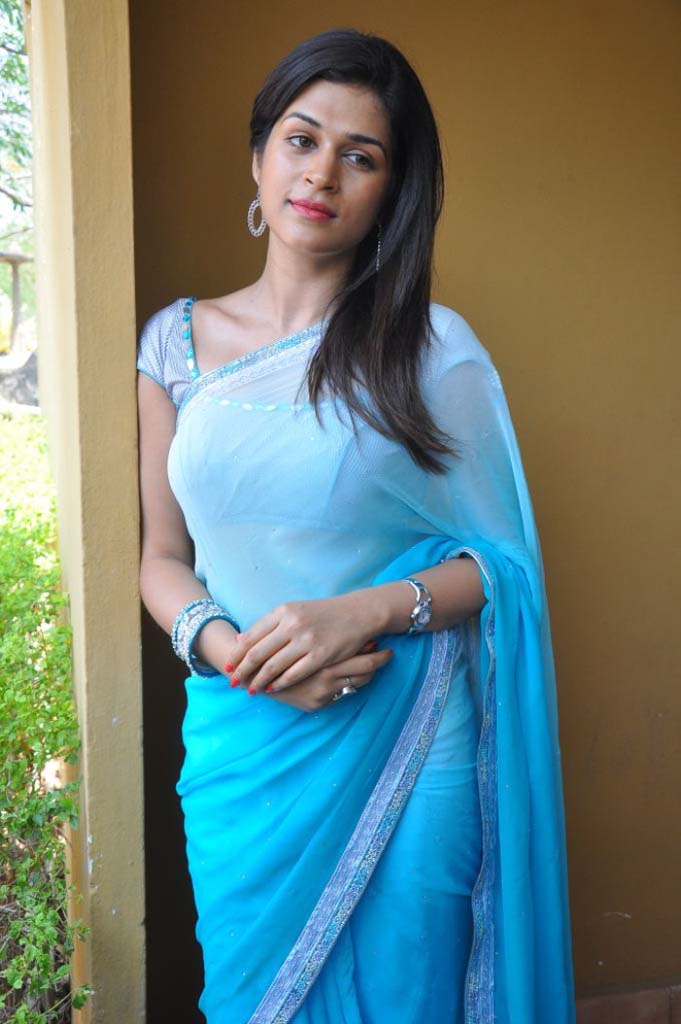 Actress Shraddha Das Sexy In Blue Saree Photoshoot Stills 59