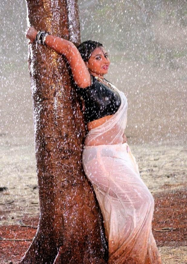Actress Samvritha Sunil Hot Sexy Navel Show In Wet Transparent Saree In Rain Photos 0H
