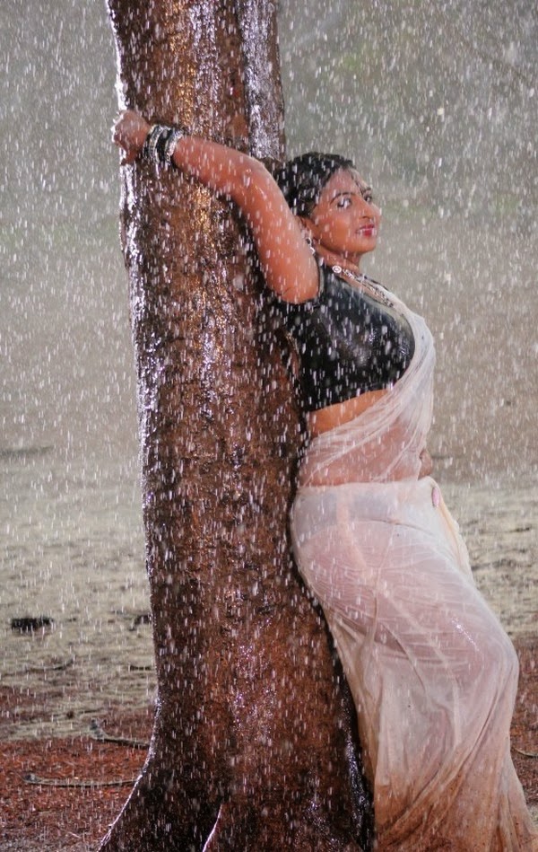 Actress Samvritha Sunil Hot Sexy Navel Show In Wet Transparent Saree In Rain Photos 19