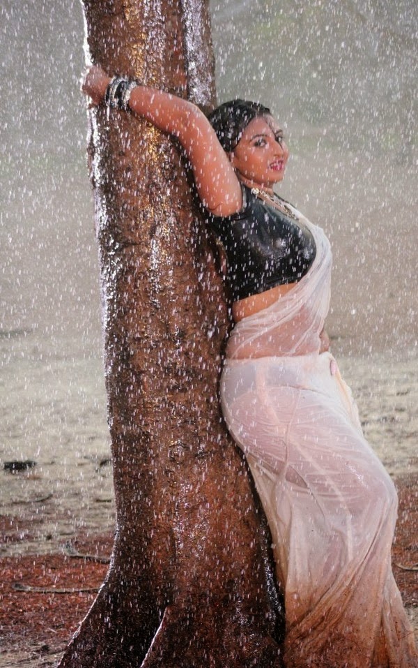 Actress Samvritha Sunil Hot Sexy Navel Show In Wet Transparent Saree In Rain Photos 21